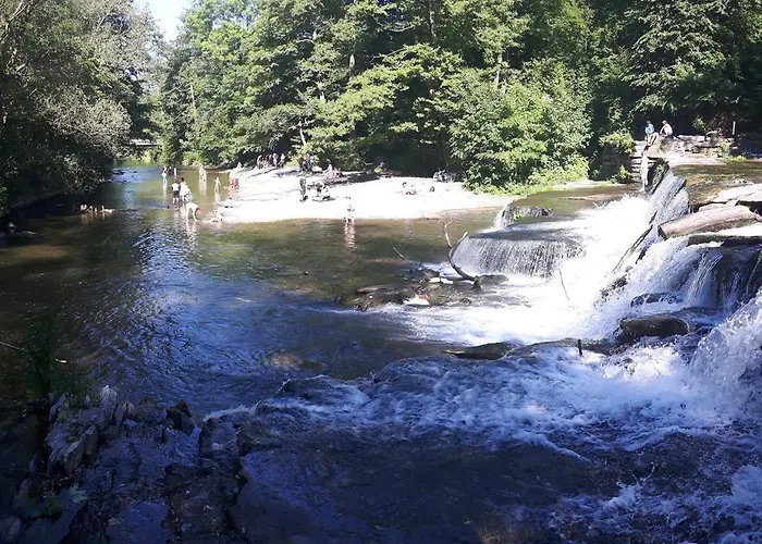 酒店 Thueringer Hof